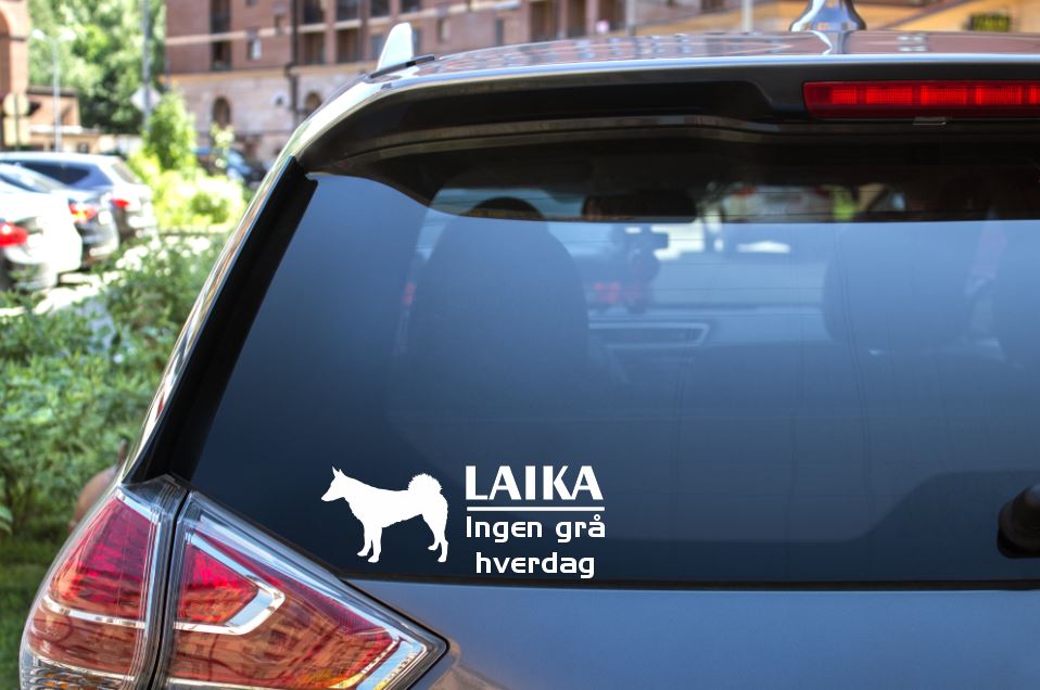Bilde av Laika ingen gr hverdag klistremerke
